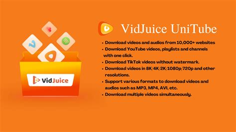 VidJuice Reviews 